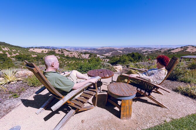 3-Winery Tour Includes Tastings & Lunch from Paso/Atascadero - Key Points