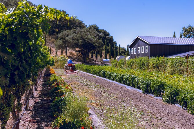 3-Winery Tour Includes Tastings & Lunch from Santa Barbara - Discover Santa Barbara’s Best Wine Experience with a 3-Winery Tour