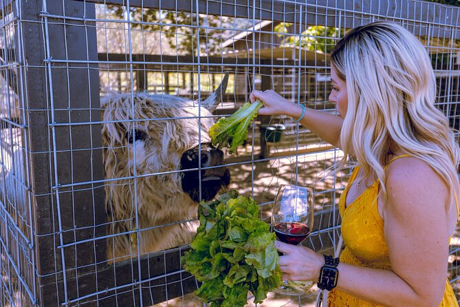 3-Winery Tour Includes Tastings & Lunch from Santa Barbara - Expert Guides and Wine Knowledge Sharing