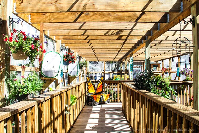 30-Minute Airboat Ride near Orlando - Booking, Availability, and Cancellation Policy