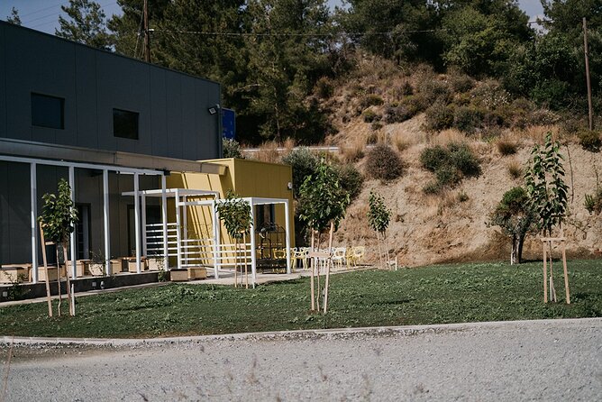 30-Minute Guided Honey Tasting Activity in Melini - Key Points