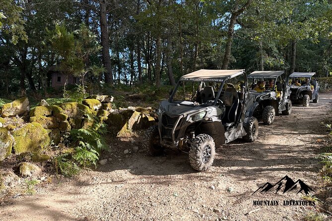 30 minutes Buggy Ride - Key Points
