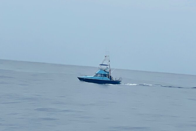 35 foot Bertram 4 Hour Charter - The Spacious and Practical Design of the 35-foot Bertram