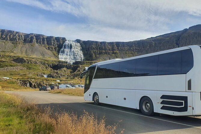 3,5-Hour Sightseeing Tour To Dynjandi Waterfall - Value for Money and Overall Experience