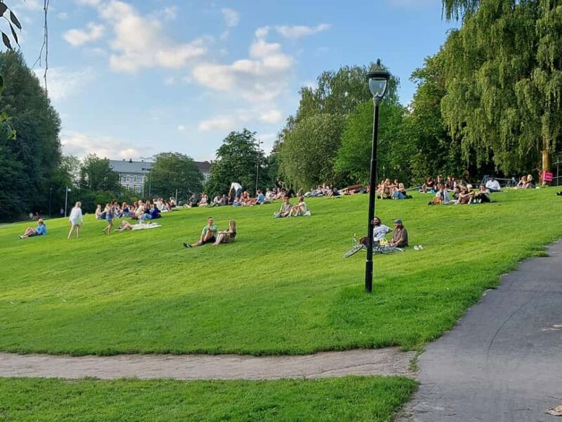 3,5 Hours Walking Tour for Great Food in Oslo - The Tour Pacing and Guide Expertise