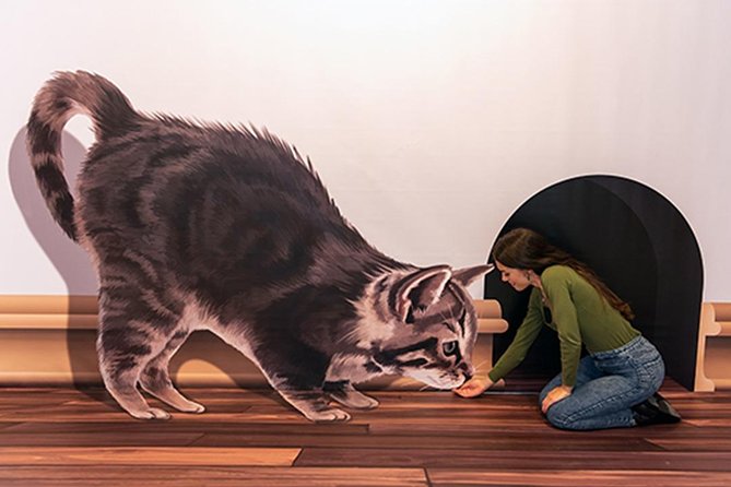 3D Fun Art Museum Funchal - How the 3D Fun Art Museum Creates Illusions