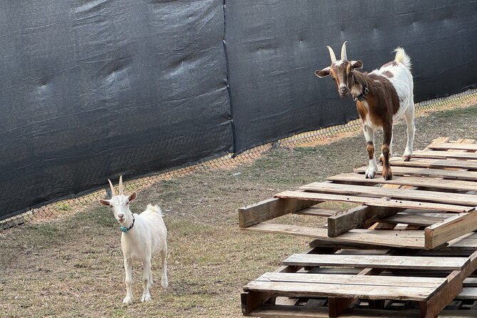 3D Printer Factory Tour plus 2 ft Tall Rocket! - Who Will Enjoy This Tour Most?