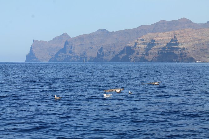 3h Boat Trip + Snorkeling in Puerto de Mogan - Family and Vegetarian Friendly Environment