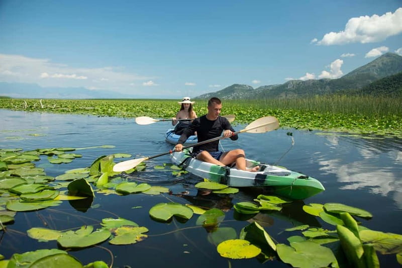 3h Guided Kayaking Adventure on Skadar Lake to hidden spots! - Explore Skadar Lake with an Expert Guide on a 3-Hour Kayaking Adventure