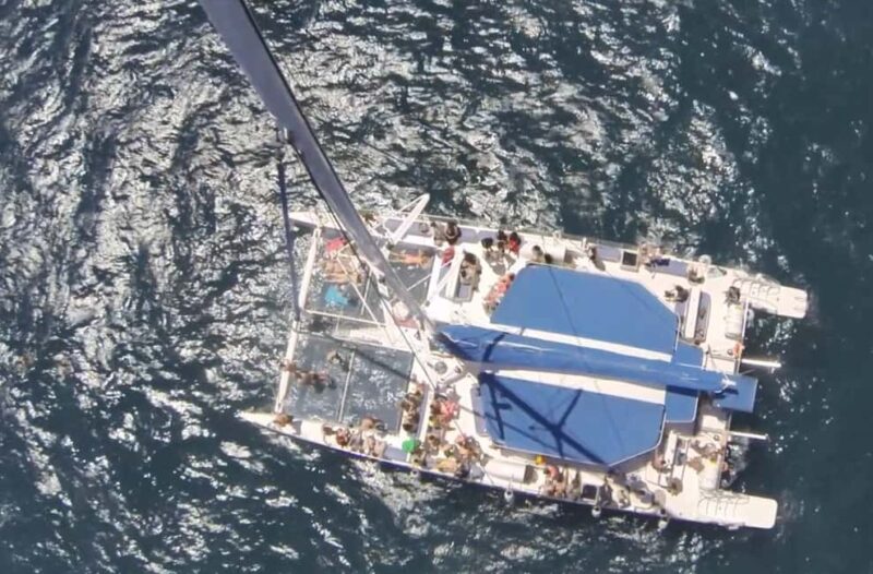 3h Sailing & Swim & Tapas: Gastronomic Esperience Barcelona - Swimming and Paddleboarding in the Mediterranean