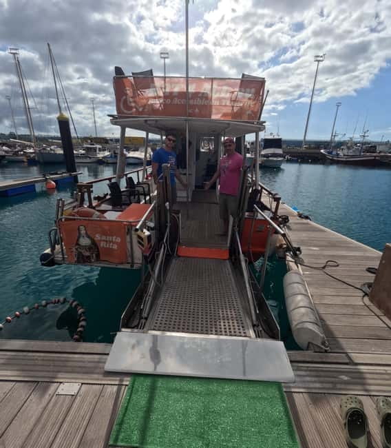 3H Shared Barrier-Free Cruise with Turtles Dolphins & Whales - Dolphin and Pilot Whale Watching in Tenerife’s Open Ocean