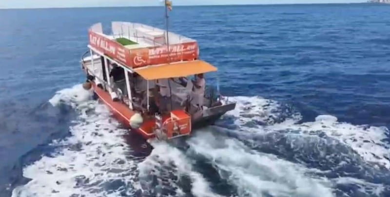 3H Shared Barrier-Free Cruise with Turtles Dolphins & Whales - Snorkeling in Las Vistas Bay with Accessible Support