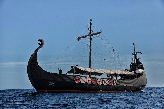 3h Viking Cruise with Drinks, Whales watching & Swimming Time - Viking-themed Entertainment and Dress-up Fun