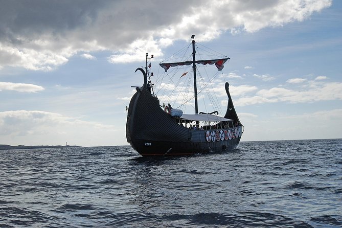 3h Viking Cruise with Drinks, Whales watching & Swimming Time - Practical Details: Meeting Point and Accessibility