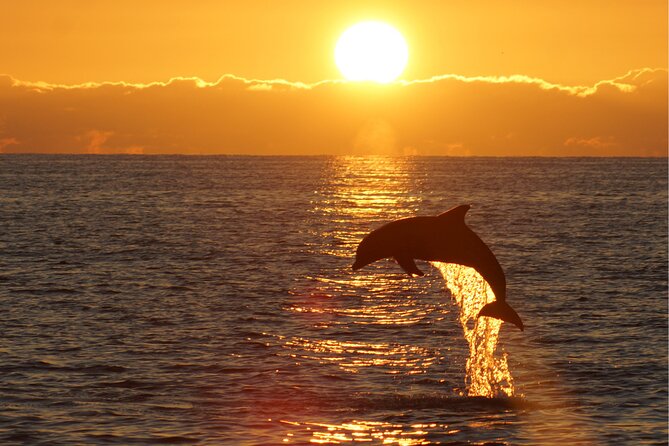 3hours all inclusive Sunset&Dolphin Tour from Medulin on Sandra - Onboard Dinner with Vegetarian Options
