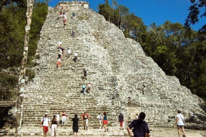 3x1 Tulum Coba cenote swim - Explore Riviera Mayas Highlights in a Day for $48