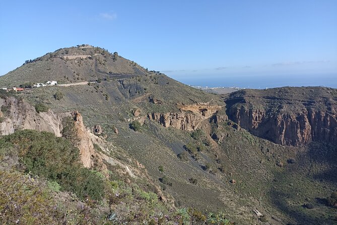 4.5 hours Private tour, the best and highlights of Gran Canaria. - Exploring the North’s Wine Region at Bodega San Juan