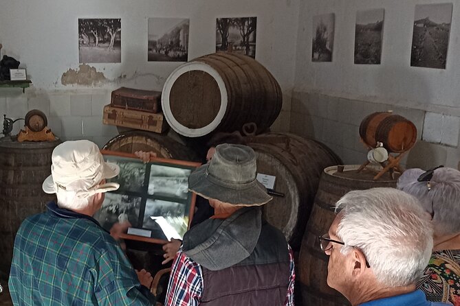 4.5 hours Private tour, the best and highlights of Gran Canaria. - Who Will Enjoy This Tour Most?