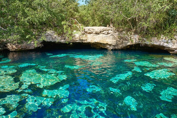 4 Cenotes Discovery Tour from Cancun with Pickup - Who Will Enjoy the 4 Cenotes Discovery Tour
