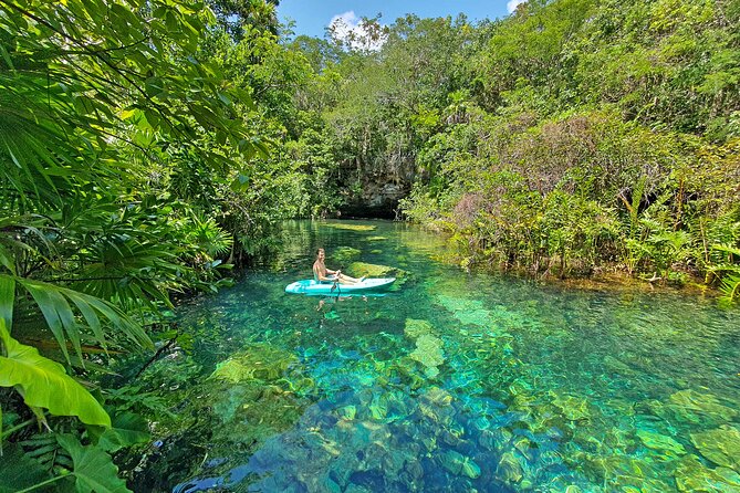 4 Cenotes Eco-Park from Playa del Carmen - Unique Features of the Four Cenotes Visited