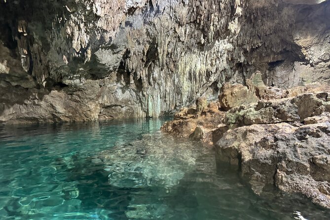 4 Cenotes Tour in Homún all inclusive from Merida - The Guided Experience: Knowledgeable and Friendly