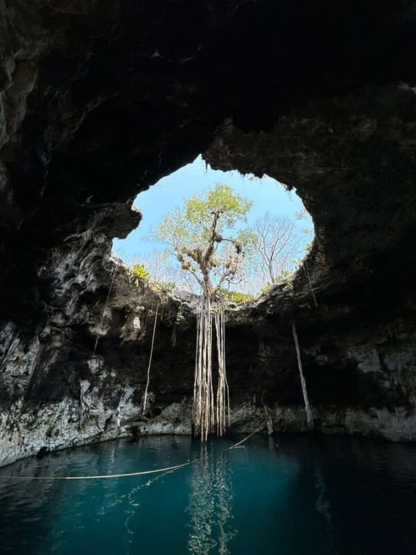 4 Cenotes with Bike, Lunch, Guide, and Pickup from Mérida - The Tour Starts with Convenient Hotel Pickup in Mérida