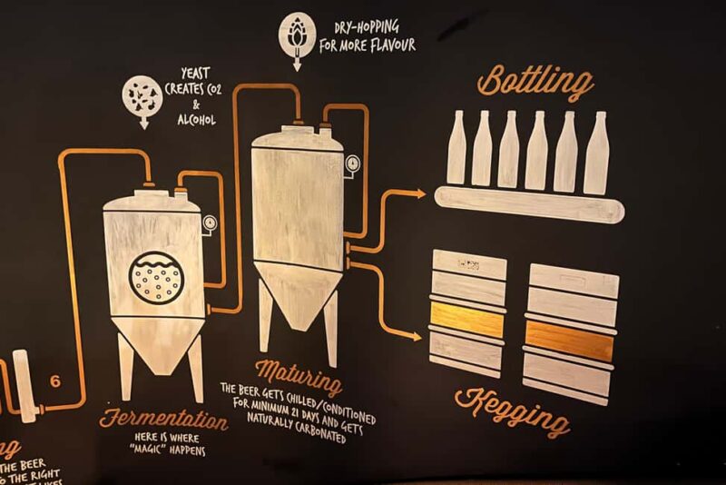 4 Craft Premium Beers Tasting with the Brewer - Discover the Flavors of Bucharest’s Artisanal Beer Scene