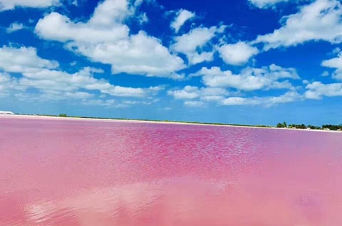 4 Day Adventurous Tour Vacation in Cancun - Day 3: Choose Between Relaxation and Exciting Theme Parks