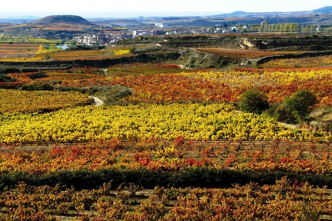 4 Day Basque Country Tour: San Sebastian, Biarritz, Bilbao and Rioja - Tour Strengths: Expertise, Flexibility, and Highlights