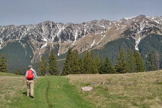 4-Day Carpathian Trek: Bucegi Mountains and Piatra Craiului National Park - Starting Point and Transportation from Brasov