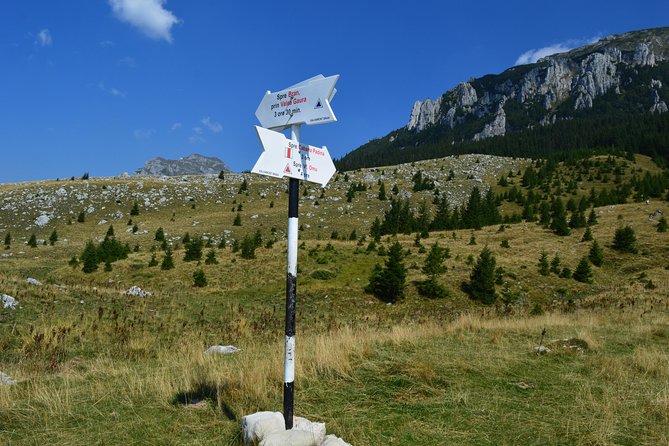 4-Day Carpathian Trek: Bucegi Mountains and Piatra Craiului National Park - Guesthouse Stays and Local Cuisine