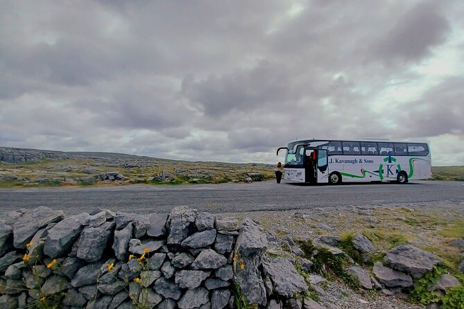 4-Day Guided Tour to Discover Ireland and Dublin - Who Will Appreciate This Tour?