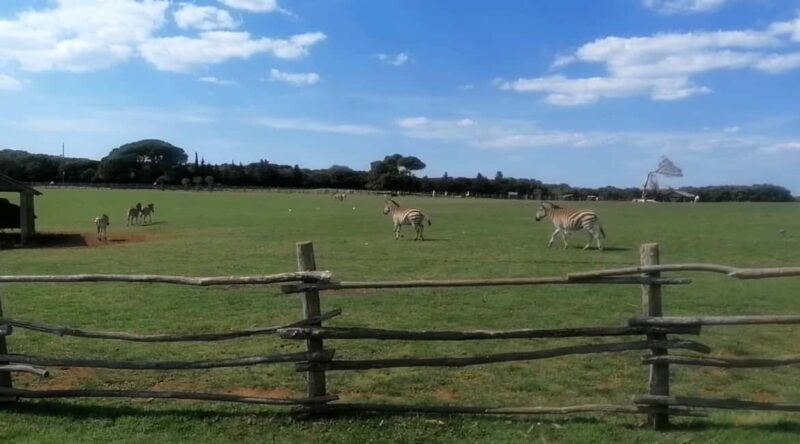 4 Day Private Istria Tour from Zagreb: Explore & Enjoy - Customization and Additional Experiences