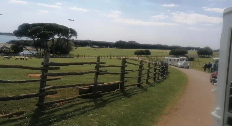 4 Day Private Istria Tour from Zagreb: Explore & Enjoy - Final Thoughts on the 4 Day Private Istria Tour from Zagreb