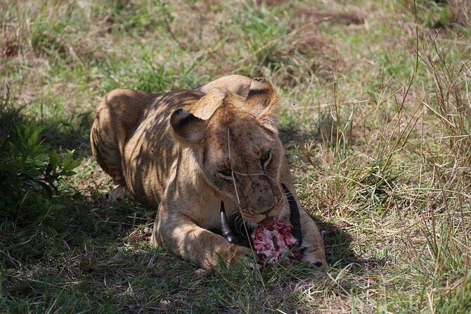 4 Day Safari Maasai Mara, Lake Nakuru and Lake Naivasha - Exploring Lake Naivasha and Hell’s Gate National Park