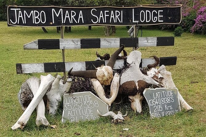 4 Day Safari Maasai Mara, Lake Nakuru and Lake Naivasha - Transportation, Logistics, and Meeting Points