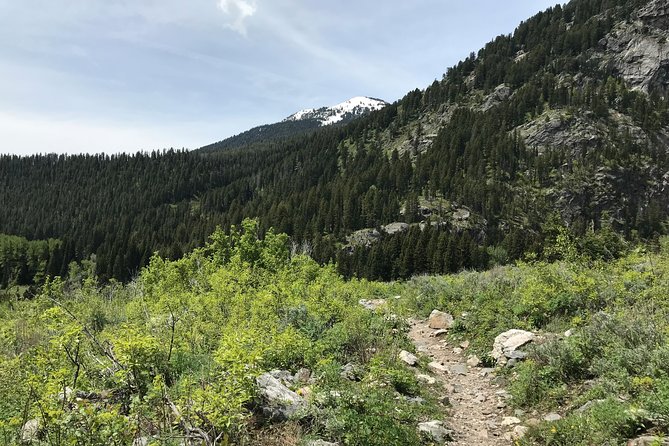 4-Day Small Group Tour: Yellowstone and Tetons Camping from Salt Lake City - Tailored Hikes and Volcanic Wonders in Yellowstone