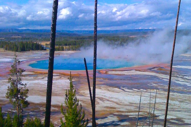 4-Day Small Group Tour: Yellowstone and Tetons Camping from Salt Lake City - Wildlife Encounters at the Yellowstone Grizzly and Wolf Discovery Center