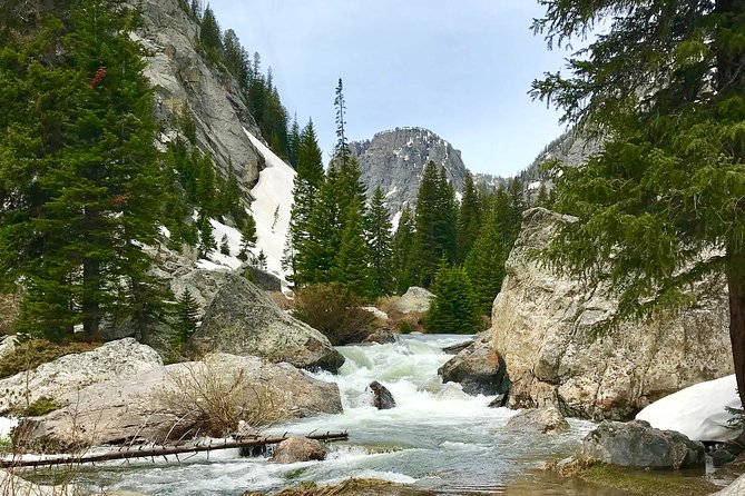 4-Day Small Group Tour: Yellowstone and Tetons Camping from Salt Lake City - Physical Requirements and Suitability