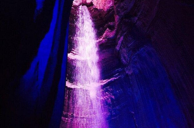 4-Day Tennessee Smoky Mountain Tour from NYC - Comfort, Food, and Special Extras