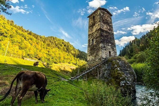 4-Day Tour in Svaneti - Mestia/Ushguli - Day Four: Scenic Return with a Stop at Martvili Canyon