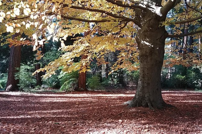 4 Day Vancouver, Victoria & Whistler Private Tour - Frequently Asked Questions