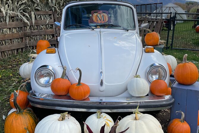 4 Days Canadian Rockies Fall/Spring Tour - Scenic Drive and Highlights in Revelstoke