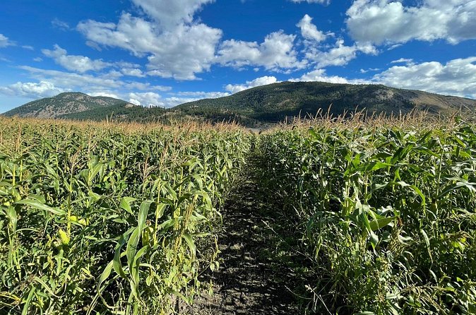 4 Days Canadian Rockies Fall/Spring Tour - Special Activities and Optional Add-ons