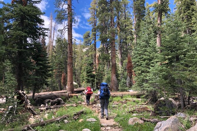 4 Days Guided Yosemite Half Dome Tour - What Sets This Tour Apart from Others