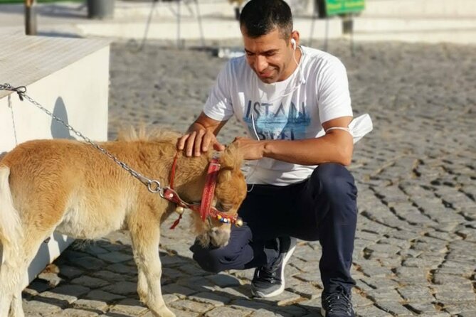 4-Day's Turkey Tour Cappadocia Ephesus and Pamukkale - Transitioning from Cappadocia to Pamukkale via Denizli Bus