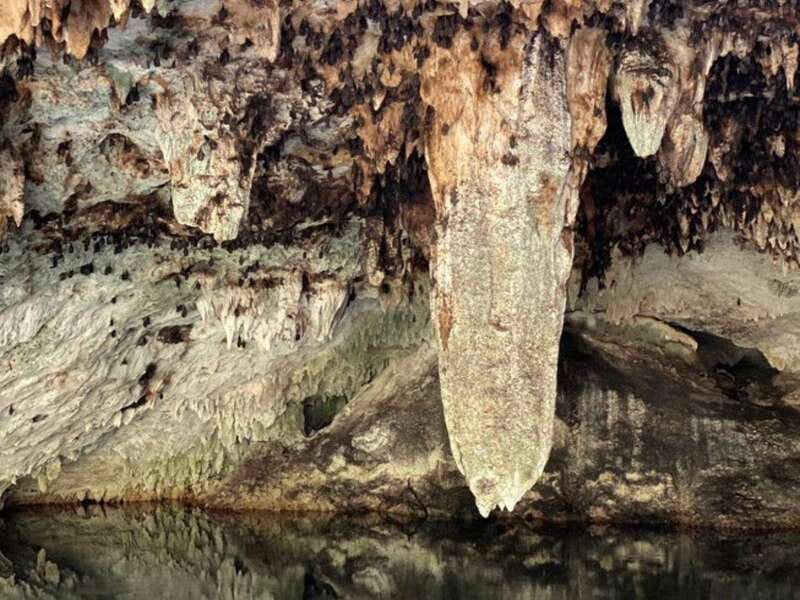 4 Days Yoga, Snorkel and Horseback Riding in Cozumel - Timing, Pacing, and Group Size