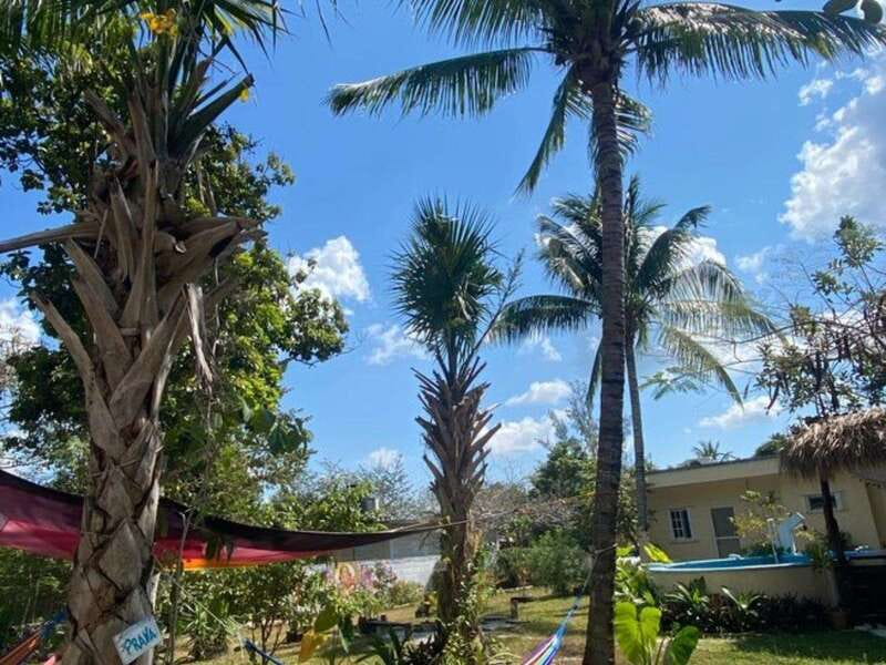 4 Days Yoga, Snorkel and Horseback Riding in Cozumel - Exploring Beyond the Retreat