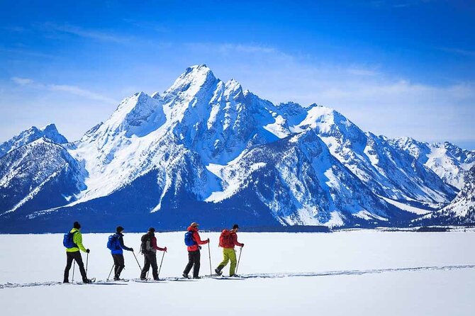 4 Hour Beginner Cross Country Skiing in Grand Teton - Convenient Meeting Point and Transportation in Jackson Hole