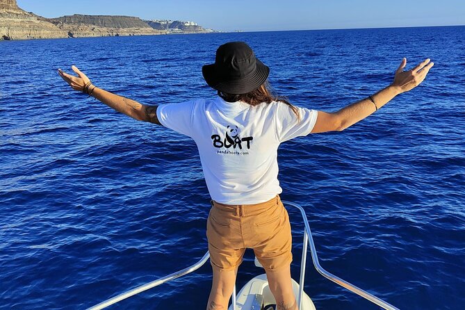 4 Hour Boat Tour with Snorkeling from Puerto Rico and Mogan - Logistics: Meeting Point, Group Size, and Accessibility